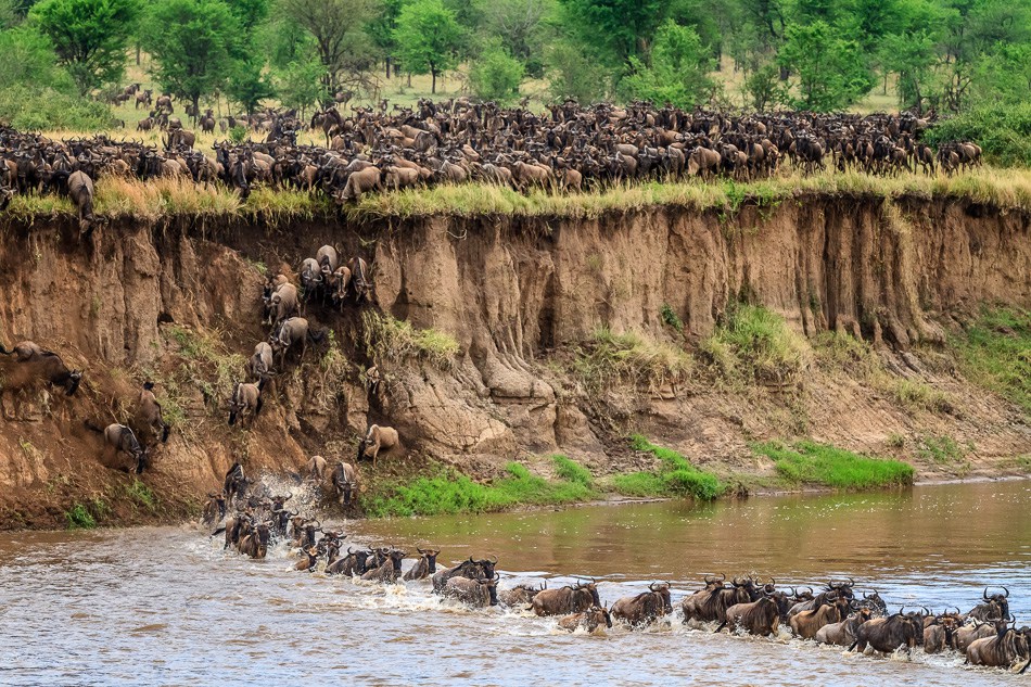 4 Days Best of Masai Mara Game Reserve