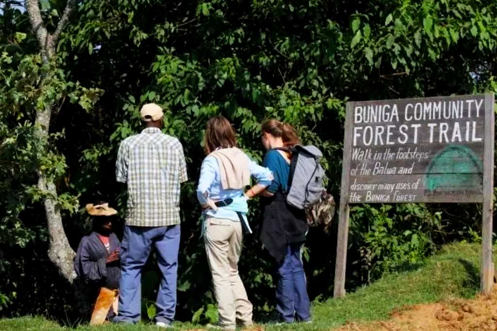 Why Choose Nature Walks in Bwindi? Nature walks in Bwindi provide a unique and intimate connection with the forest, unlike motorized safaris. These guided treks allow visitors to move at a slower pace, observing the intricate details of the ecosystem—from monkeys and birds to rare butterflies and medicinal plants. For cultural enrichment, some walks include visits to the Batwa community, where you’ll learn about the traditional forest lifestyle of these indigenous people. Whether you’re a hiker, birdwatcher, or cultural enthusiast, nature walks in Bwindi offer a blend of wildlife, education, and adventure.