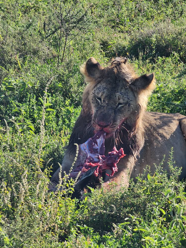 Kidepo Valley National Park.
